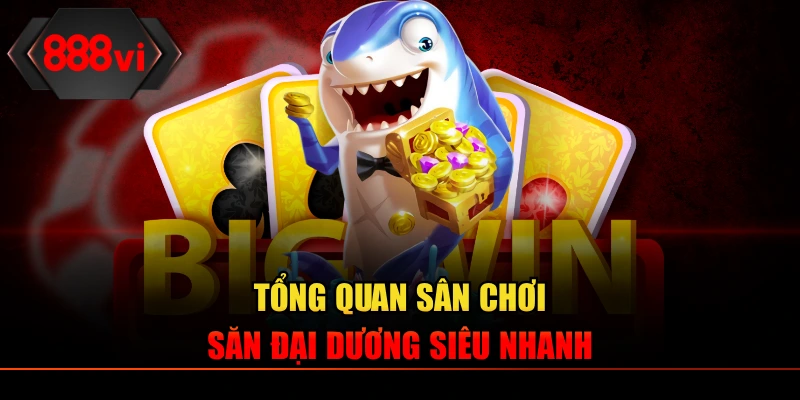 Tổng quan sân chơi săn đại dương siêu nhanh