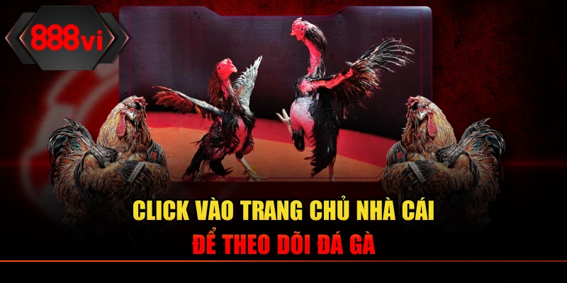 Click vào trang chủ nhà cái để theo dõi chọi kê