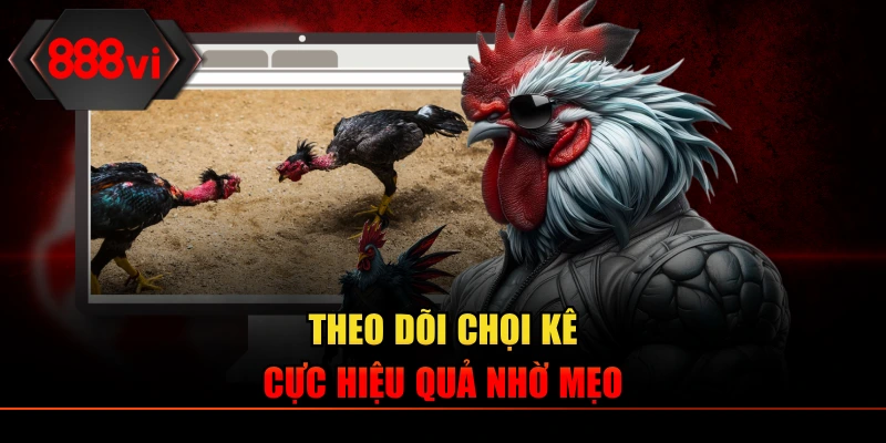 Theo dõi chọi kê cực hiệu quả nhờ mẹo