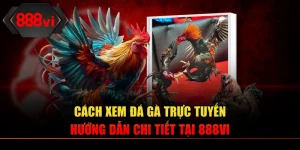 Cách Xem Đá Gà Trực Tuyến – Hướng Dẫn Chi Tiết Tại 888VI