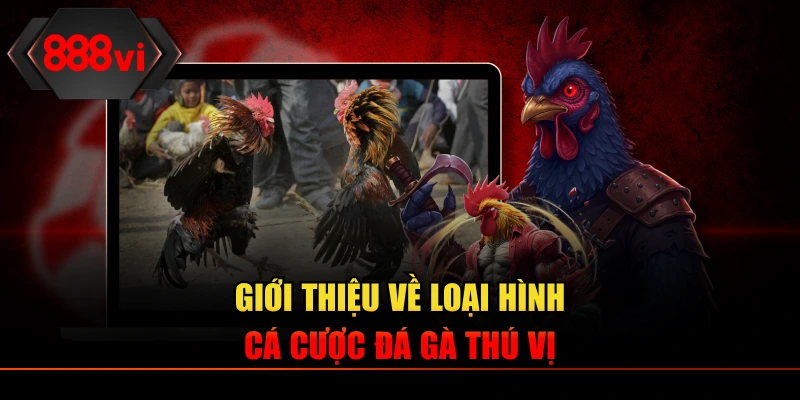 Giới thiệu về loại hình cá cược đá gà thú vị